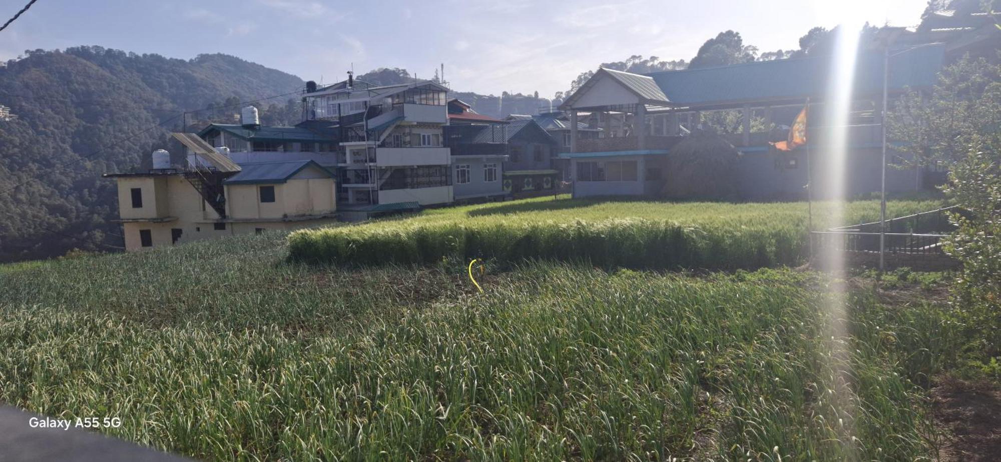 Keshav Niwas Homestay Shimla Exterior photo